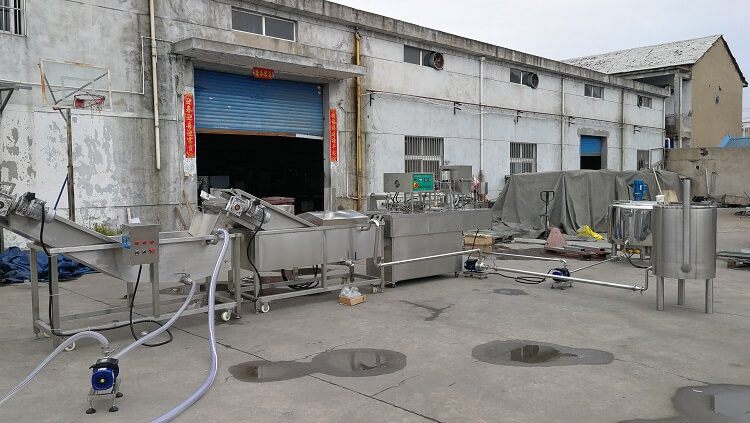 March 22, 2019，BHJ-2 automatic cup filling and sealing machine and Pasteurizatio